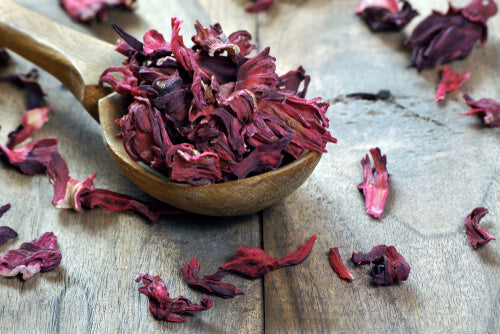 Hibiscus Petals