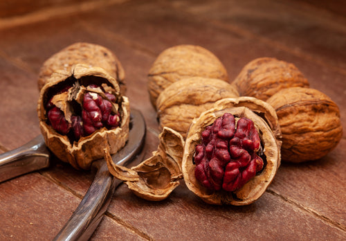Red Danube Walnuts (Chilean) - image 2