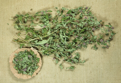 Spearmint Leaves