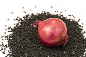 Onion,Cultivation,And,Onion,Seed,,Onion,Cultivation,